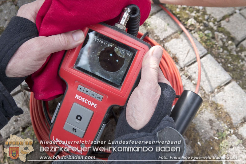 20250310_Feuerwehr befreit Stubentiger Odin" aus unterirdischem Hohlraum in Baden!   Foto: Stefan Schneider FF Baden-Stadt