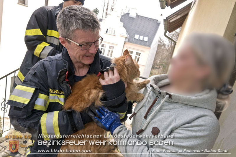 20250310_Feuerwehr befreit Stubentiger Odin" aus unterirdischem Hohlraum in Baden!   Foto: Stefan Schneider FF Baden-Stadt