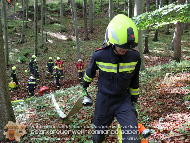 20240601 Abschnittsbung Waldbrand" 2024 in Furth-Pottenstein-Weissenbach  Foto: ASB Markus Hackl AFKDO Pottenstein