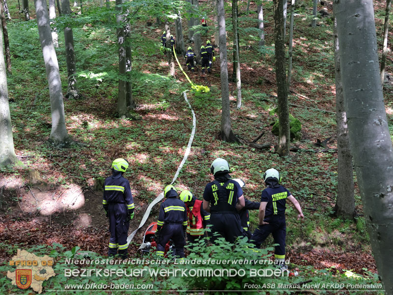 20240601 Abschnittsbung Waldbrand" 2024 in Furth-Pottenstein-Weissenbach  Foto: ASB Markus Hackl AFKDO Pottenstein