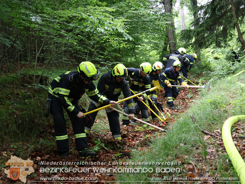 20240601 Abschnittsbung Waldbrand" 2024 in Furth-Pottenstein-Weissenbach  Foto: ASB Markus Hackl AFKDO Pottenstein