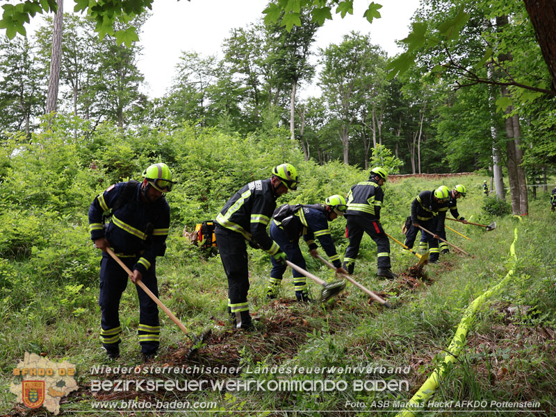 20240601 Abschnittsbung Waldbrand" 2024 in Furth-Pottenstein-Weissenbach  Foto: ASB Markus Hackl AFKDO Pottenstein