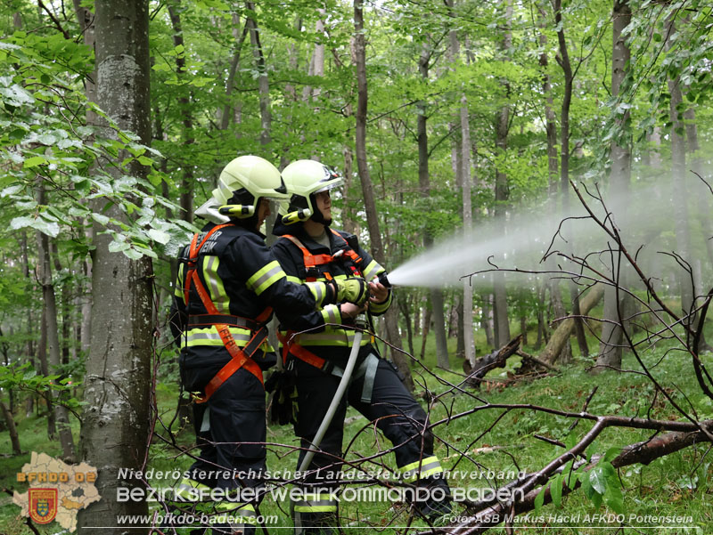 20240601 Abschnittsbung Waldbrand" 2024 in Furth-Pottenstein-Weissenbach  Foto: ASB Markus Hackl AFKDO Pottenstein