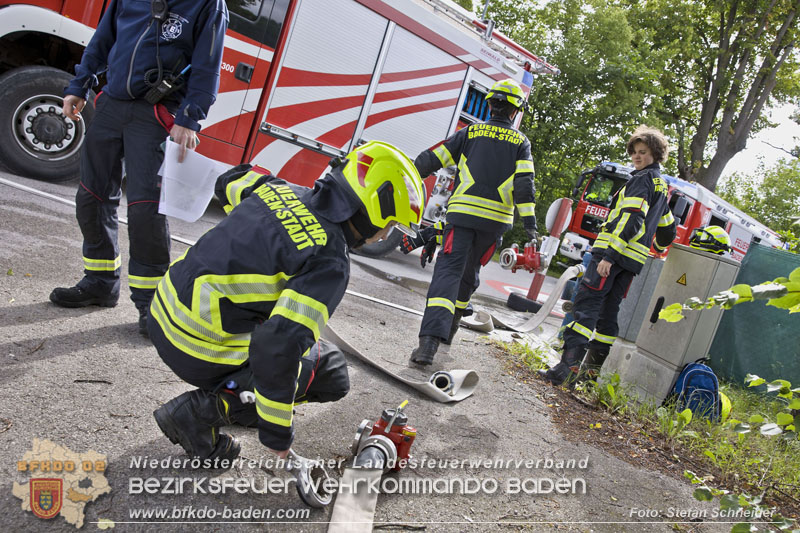 20240601 Abschnittsbung Waldbrand" 2024 in Furth-Pottenstein-Weissenbach Foto: Stefan Schneider S5/BFKDO Baden