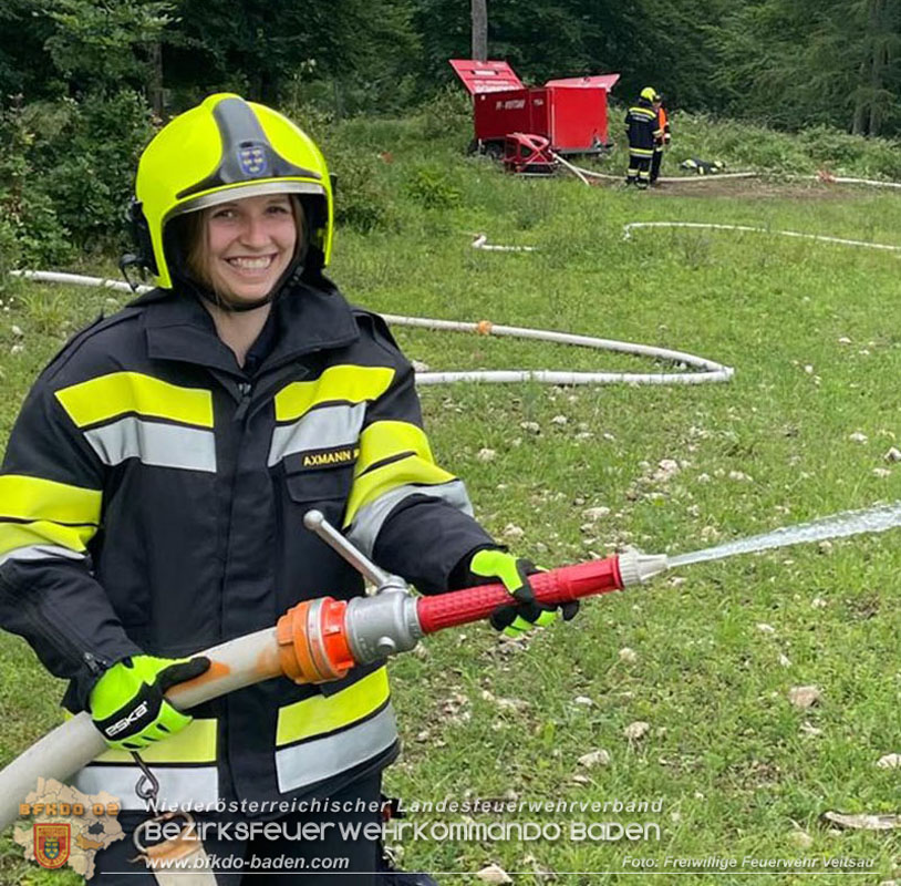 20240601 Abschnittsbung Waldbrand" 2024 in Furth-Pottenstein-Weissenbach  Foto: Freiwillige Feuerwehr Veitsau