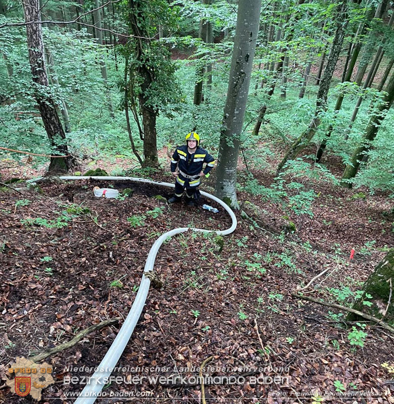 20240601 Abschnittsbung Waldbrand" 2024 in Furth-Pottenstein-Weissenbach  Foto: Freiwillige Feuerwehr Veitsau