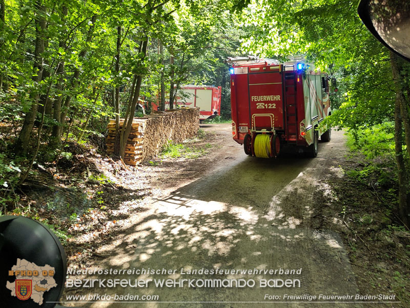 20240601 Abschnittsbung Waldbrand" 2024 in Furth-Pottenstein-Weissenbach  Foto: Fritz Beichbuchner FF Baden-Stadt