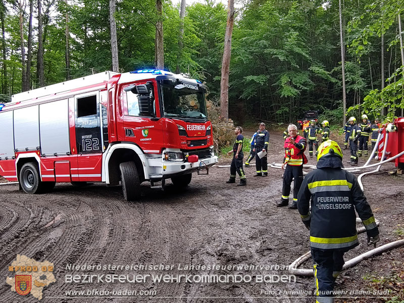 20240601 Abschnittsbung Waldbrand" 2024 in Furth-Pottenstein-Weissenbach  Foto: Fritz Beichbuchner FF Baden-Stadt