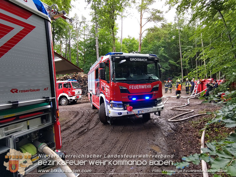 20240601 Abschnittsbung Waldbrand" 2024 in Furth-Pottenstein-Weissenbach  Foto: Fritz Beichbuchner FF Baden-Stadt