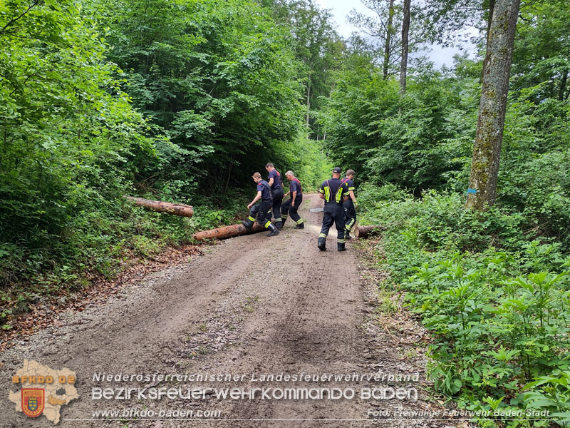 20240601 Abschnittsbung Waldbrand" 2024 in Furth-Pottenstein-Weissenbach  Foto: Fritz Beichbuchner FF Baden-Stadt