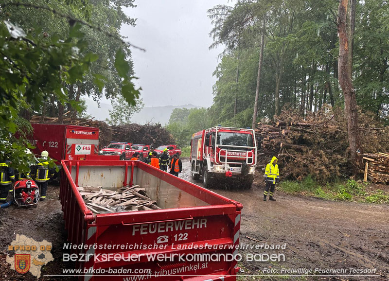 20240601 Abschnittsbung Waldbrand" 2024 in Furth-Pottenstein-Weissenbach Foto: Jrgen Rudolf Freiwillige Feuerwehr Teesdorf