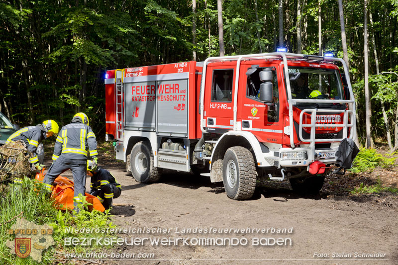 20240601 Abschnittsbung Waldbrand" 2024 in Furth-Pottenstein-Weissenbach Foto: Stefan Schneider S5/BFKDO Baden