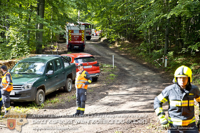 20240601 Abschnittsbung Waldbrand" 2024 in Furth-Pottenstein-Weissenbach Foto: Stefan Schneider S5/BFKDO Baden