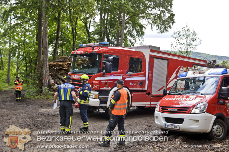 20240601 Abschnittsbung Waldbrand" 2024 in Furth-Pottenstein-Weissenbach Foto: Stefan Schneider S5/BFKDO Baden