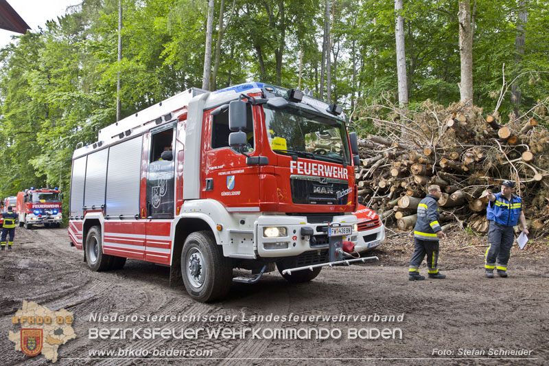 20240601 Abschnittsbung Waldbrand" 2024 in Furth-Pottenstein-Weissenbach Foto: Stefan Schneider S5/BFKDO Baden