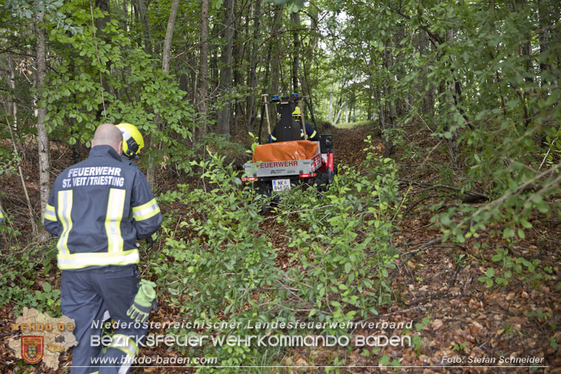 20240601 Abschnittsbung Waldbrand" 2024 in Furth-Pottenstein-Weissenbach Foto: Stefan Schneider S5/BFKDO Baden