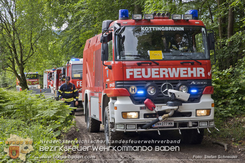 20240601 Abschnittsbung Waldbrand" 2024 in Furth-Pottenstein-Weissenbach  Foto: Stefan Schneider S5/BFKDO Baden