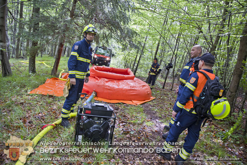 20240601 Abschnittsbung Waldbrand" 2024 in Furth-Pottenstein-Weissenbach  Foto: Stefan Schneider S5/BFKDO Baden