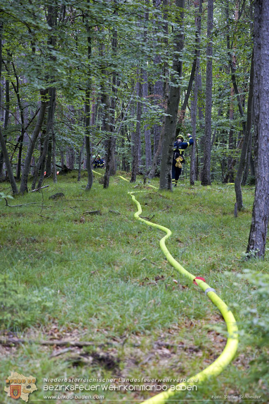 20240601 Abschnittsbung Waldbrand" 2024 in Furth-Pottenstein-Weissenbach  Foto: Stefan Schneider S5/BFKDO Baden