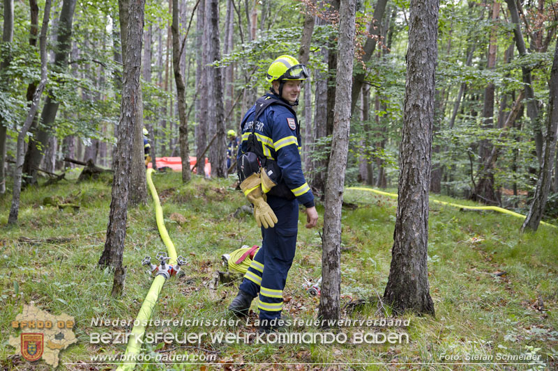 20240601 Abschnittsbung Waldbrand" 2024 in Furth-Pottenstein-Weissenbach  Foto: Stefan Schneider S5/BFKDO Baden