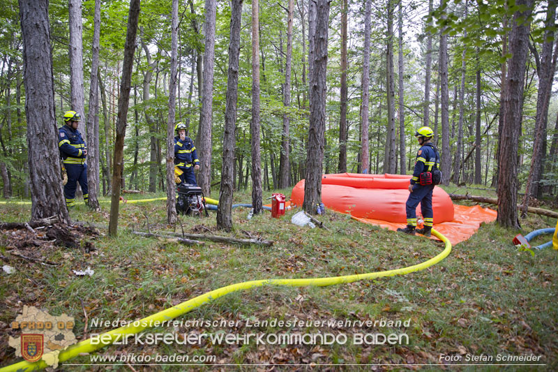 20240601 Abschnittsbung Waldbrand" 2024 in Furth-Pottenstein-Weissenbach  Foto: Stefan Schneider S5/BFKDO Baden