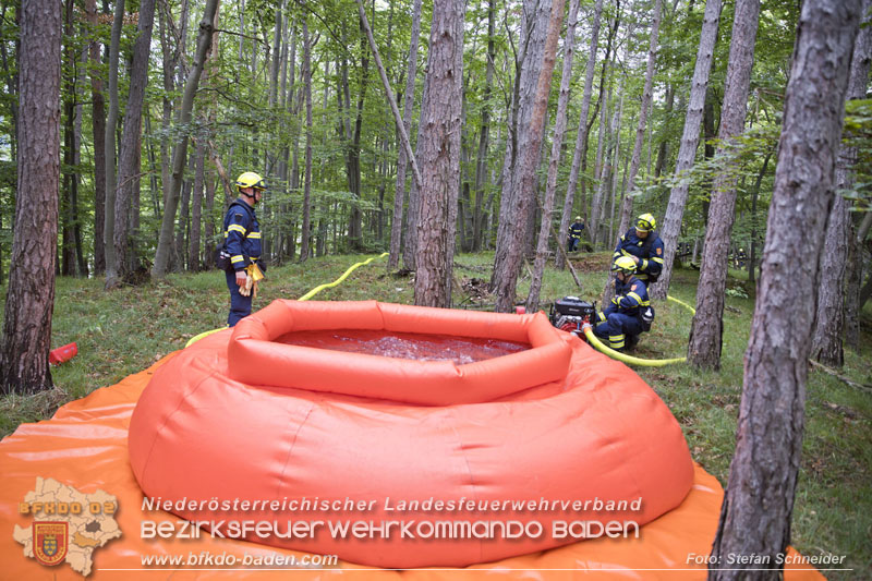 20240601 Abschnittsbung Waldbrand" 2024 in Furth-Pottenstein-Weissenbach  Foto: Stefan Schneider S5/BFKDO Baden