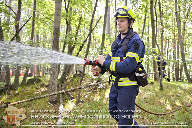 20240601 Abschnittsbung Waldbrand" 2024 in Furth-Pottenstein-Weissenbach  Foto: Stefan Schneider S5/BFKDO Baden