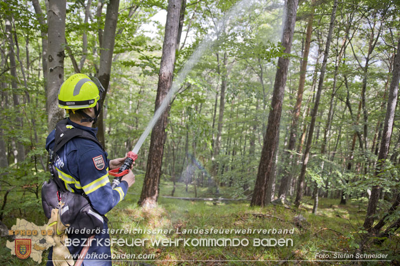 20240601 Abschnittsbung Waldbrand" 2024 in Furth-Pottenstein-Weissenbach  Foto: Stefan Schneider S5/BFKDO Baden