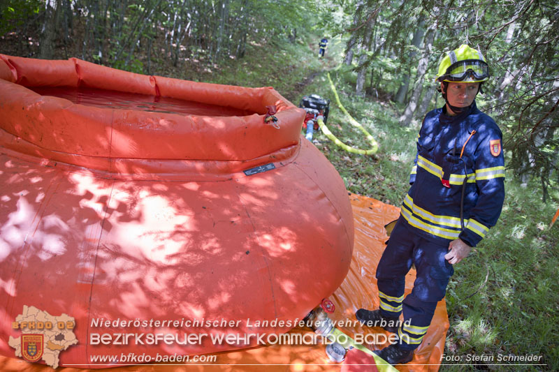 20240601 Abschnittsbung Waldbrand" 2024 in Furth-Pottenstein-Weissenbach  Foto: Stefan Schneider S5/BFKDO Baden