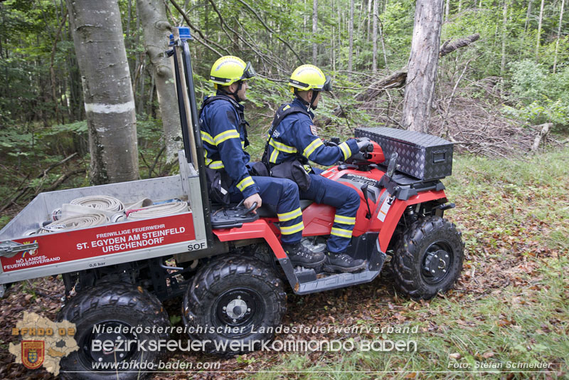 20240601 Abschnittsbung Waldbrand" 2024 in Furth-Pottenstein-Weissenbach  Foto: Stefan Schneider S5/BFKDO Baden