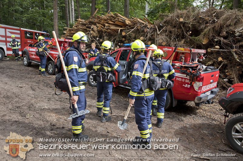 20240601 Abschnittsbung Waldbrand" 2024 in Furth-Pottenstein-Weissenbach  Foto: Stefan Schneider S5/BFKDO Baden