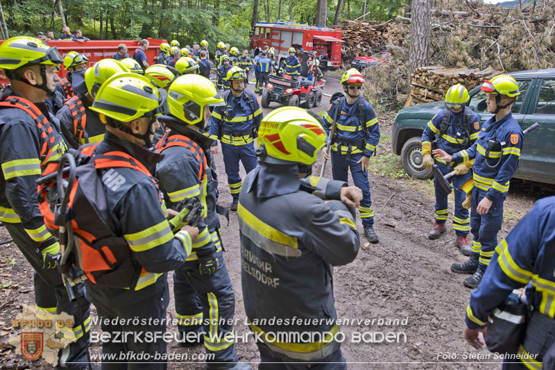 20240601 Abschnittsbung Waldbrand" 2024 in Furth-Pottenstein-Weissenbach  Foto: Stefan Schneider S5/BFKDO Baden