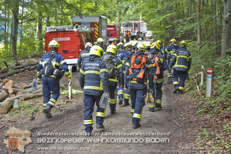 20240601 Abschnittsbung Waldbrand" 2024 in Furth-Pottenstein-Weissenbach  Foto: Stefan Schneider S5/BFKDO Baden