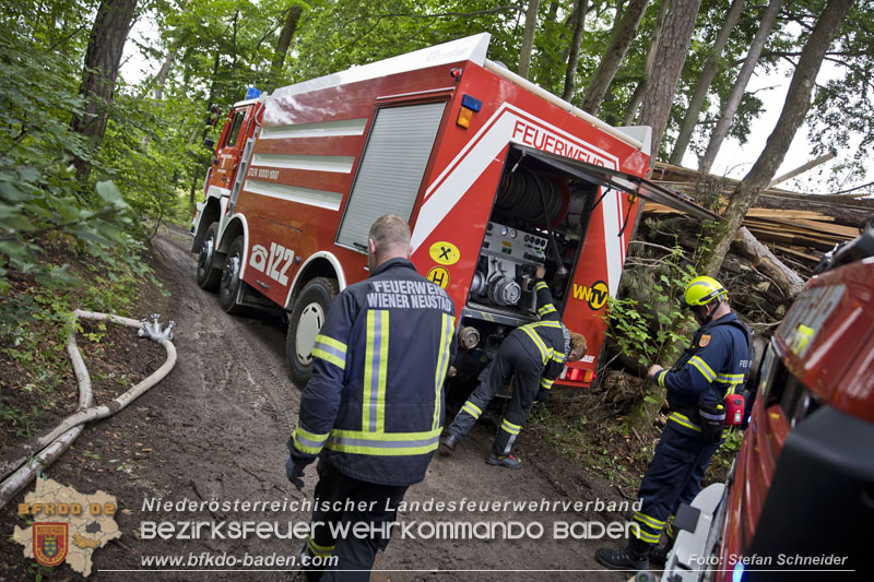 20240601 Abschnittsbung Waldbrand" 2024 in Furth-Pottenstein-Weissenbach  Foto: Stefan Schneider S5/BFKDO Baden