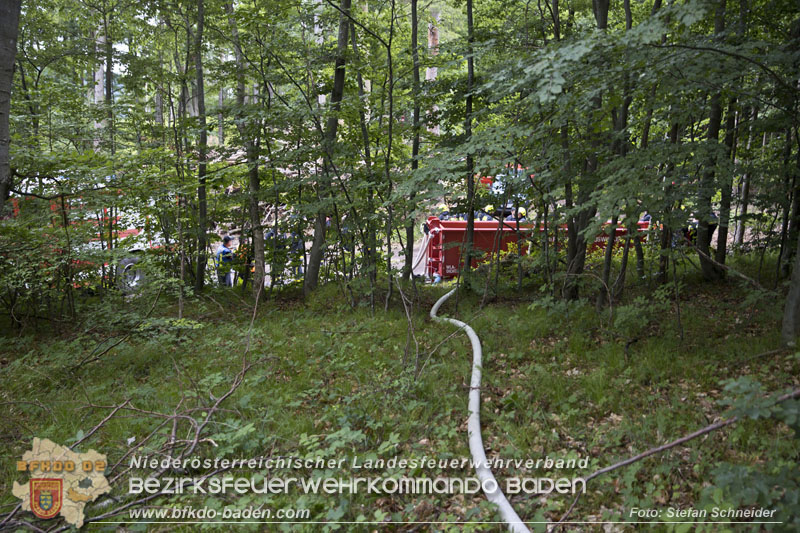 20240601 Abschnittsbung Waldbrand" 2024 in Furth-Pottenstein-Weissenbach  Foto: Stefan Schneider S5/BFKDO Baden