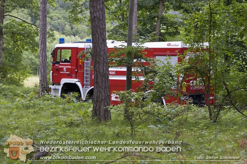 20240601 Abschnittsbung Waldbrand" 2024 in Furth-Pottenstein-Weissenbach Foto: Stefan Schneider S5/BFKDO Baden