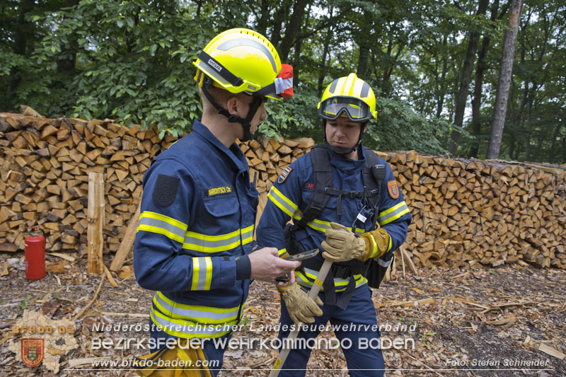 20240601 Abschnittsbung Waldbrand" 2024 in Furth-Pottenstein-Weissenbach Foto: Stefan Schneider S5/BFKDO Baden