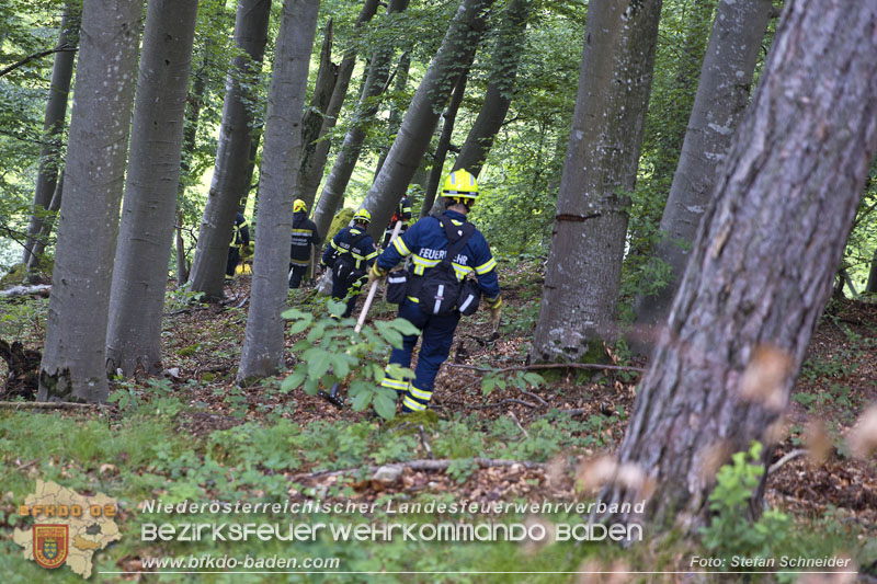 20240601 Abschnittsbung Waldbrand" 2024 in Furth-Pottenstein-Weissenbach Foto: Stefan Schneider S5/BFKDO Baden