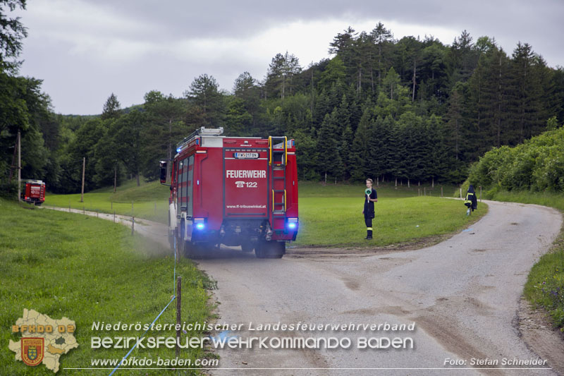 20240601 Abschnittsbung Waldbrand" 2024 in Furth-Pottenstein-Weissenbach Foto: Stefan Schneider S5/BFKDO Baden