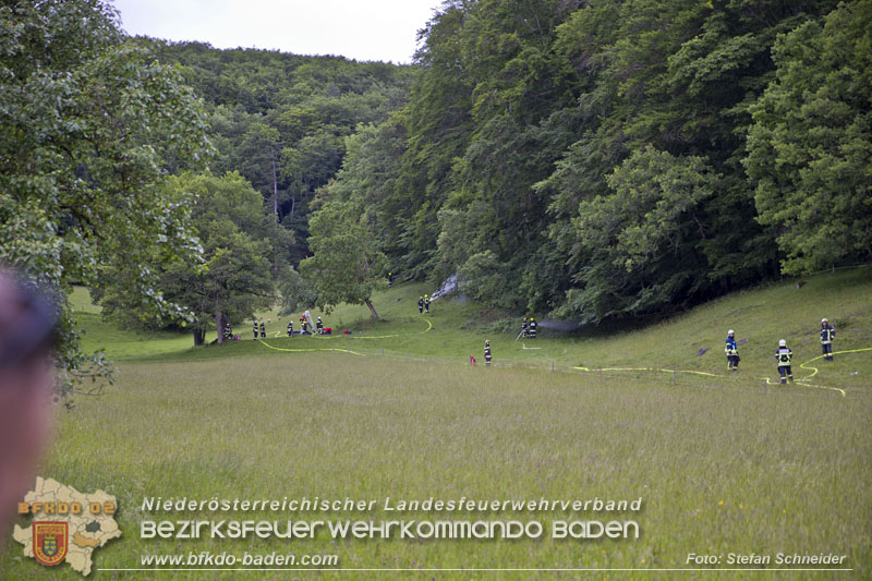 20240601 Abschnittsbung Waldbrand" 2024 in Furth-Pottenstein-Weissenbach Foto: Stefan Schneider S5/BFKDO Baden