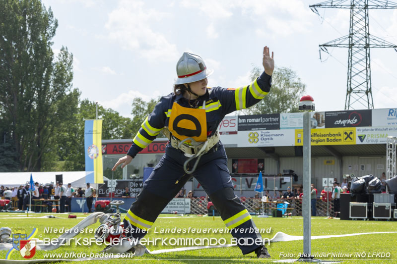 20240628_72. N Landesfeuerwehrleistungsbewerb in Leobersdorf - TAG 1  Foto: Alexander Nittner N LFKDO