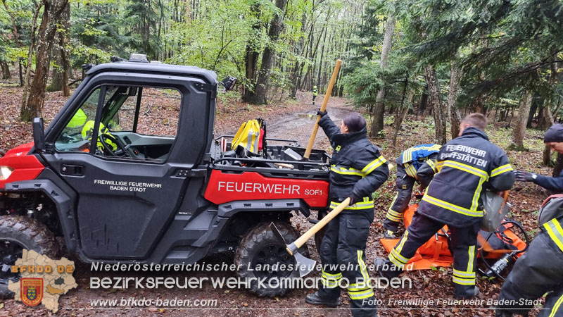 20241005_Abschnittsfeuerwehrbung in Pfaffsttten Waldgebiet Rund um die Rudolf Prokschhtte  Foto: Stefan Schneider FF Baden-Stadt