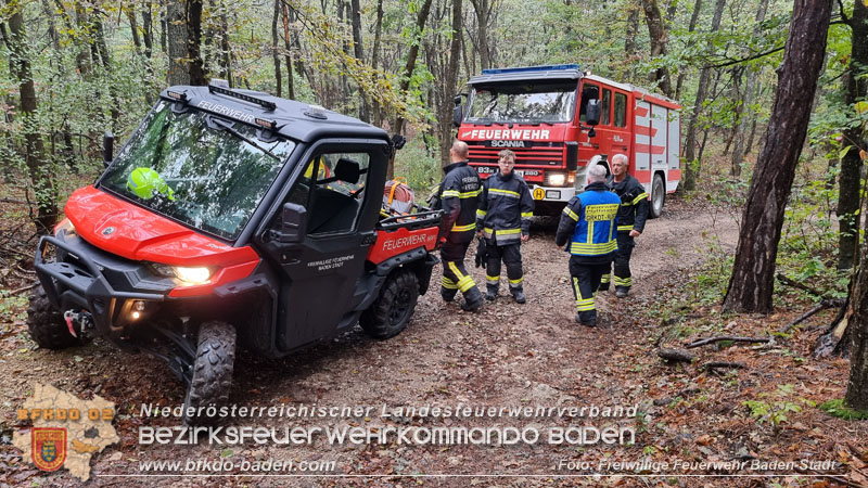 20241005_Abschnittsfeuerwehrbung in Pfaffsttten Waldgebiet Rund um die Rudolf Prokschhtte  Foto: Stefan Schneider FF Baden-Stadt