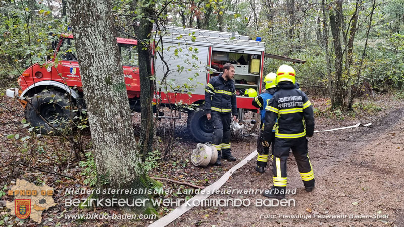 20241005_Abschnittsfeuerwehrbung in Pfaffsttten Waldgebiet Rund um die Rudolf Prokschhtte  Foto: Stefan Schneider FF Baden-Stadt