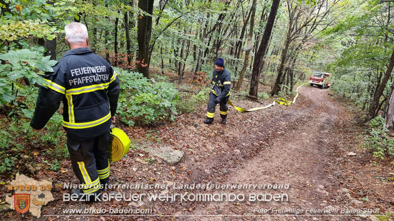 20241005_Abschnittsfeuerwehrbung in Pfaffsttten Waldgebiet Rund um die Rudolf Prokschhtte  Foto: Stefan Schneider FF Baden-Stadt