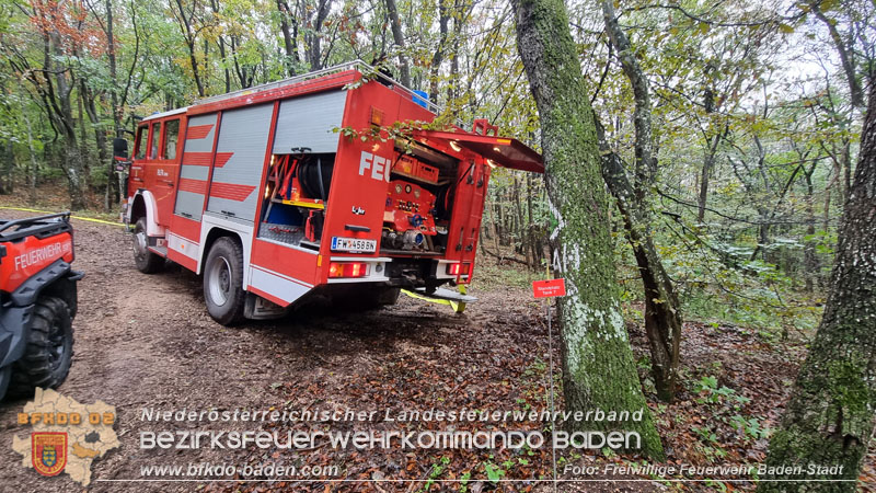 20241005_Abschnittsfeuerwehrbung in Pfaffsttten Waldgebiet Rund um die Rudolf Prokschhtte  Foto: Stefan Schneider FF Baden-Stadt