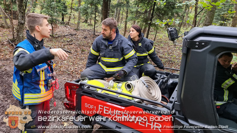 20241005_Abschnittsfeuerwehrbung in Pfaffsttten Waldgebiet Rund um die Rudolf Prokschhtte  Foto: Stefan Schneider FF Baden-Stadt