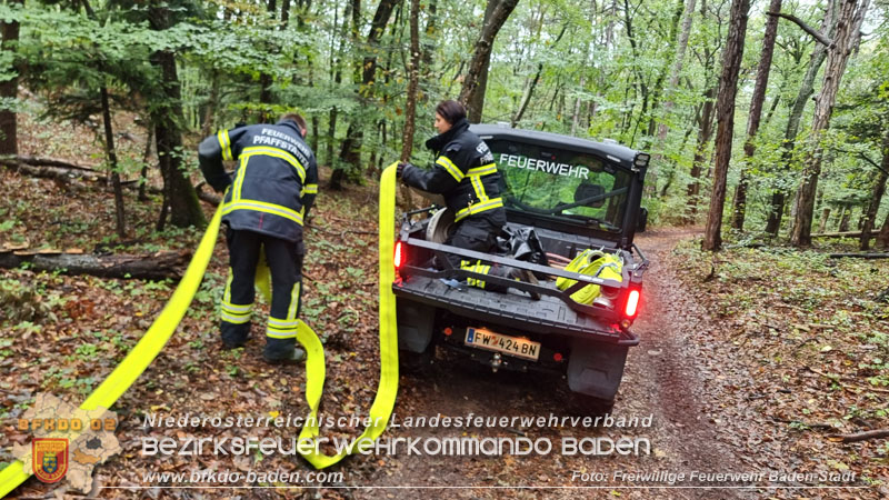 20241005_Abschnittsfeuerwehrbung in Pfaffsttten Waldgebiet Rund um die Rudolf Prokschhtte  Foto: Stefan Schneider FF Baden-Stadt