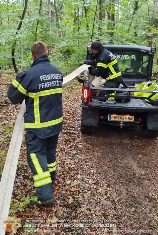 20241005_Abschnittsfeuerwehrbung in Pfaffsttten Waldgebiet Rund um die Rudolf Prokschhtte  Foto: Stefan Schneider FF Baden-Stadt