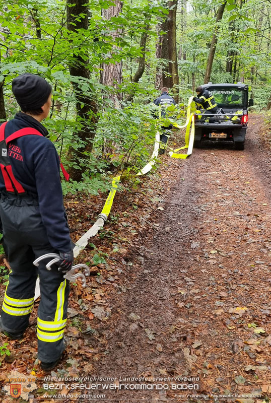 20241005_Abschnittsfeuerwehrbung in Pfaffsttten Waldgebiet Rund um die Rudolf Prokschhtte  Foto: Stefan Schneider FF Baden-Stadt